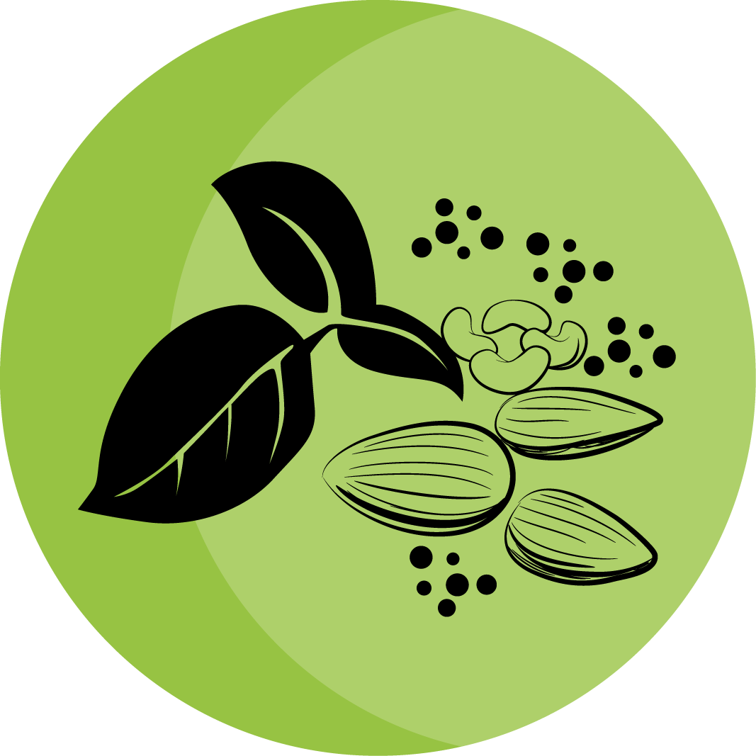 Snack On Nuts - All-Natural Mixed Nuts Badge: Healthy, Preservative-Free, Oil-Free, and Additive-Free Nut Snacks. Clean and Natural Nut Goodness for Your Well-Being.